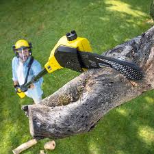 Best Tree Preservation Services  in New Hempstead, NY