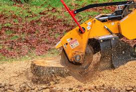 How Our Tree Care Process Works  in  New Hempstead, NY